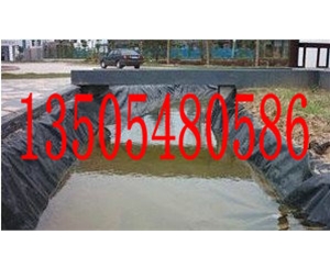 渠道防渗LDPE土工膜
